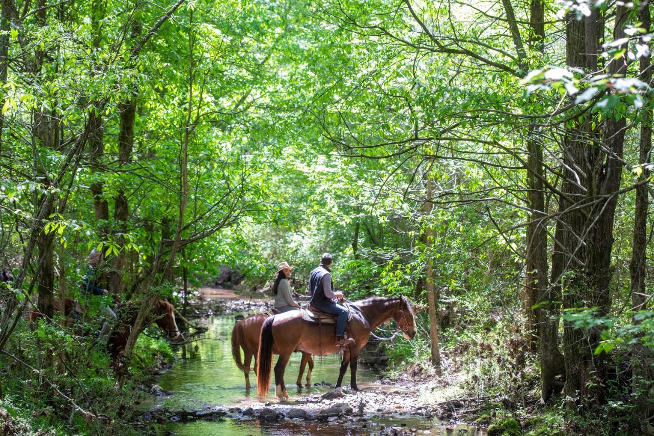 Barnsley Resort Adairsville Εξωτερικό φωτογραφία