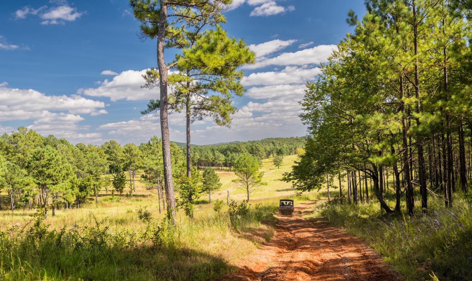 Barnsley Resort Adairsville Εξωτερικό φωτογραφία